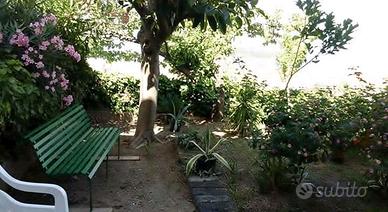 Appartamento - Diamante - Contr. Pietrarossa