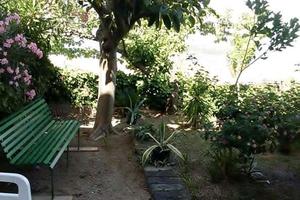 Appartamento - Diamante - Contr. Pietrarossa