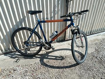 bicicletta uomo