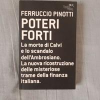 Ferruccio pinotti " poteri forti"