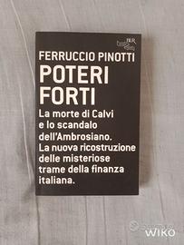 Ferruccio pinotti " poteri forti"