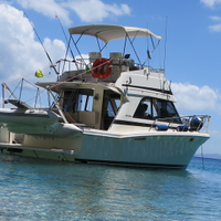 RIVIERA 3300 FLYBRIDGE