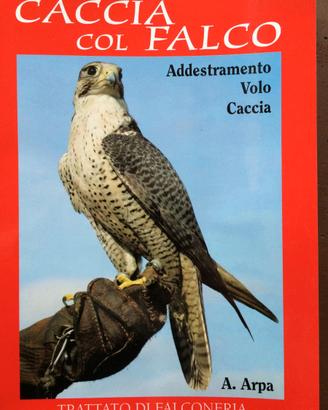 Trattato di Falconeria