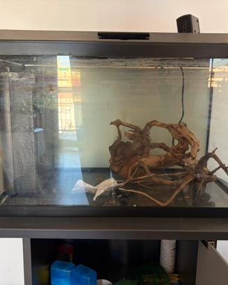 Acquario Genius 40 L