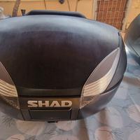 Kit borse e baule CF Moto 650 MT