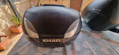 Kit borse e baule CF Moto 650 MT