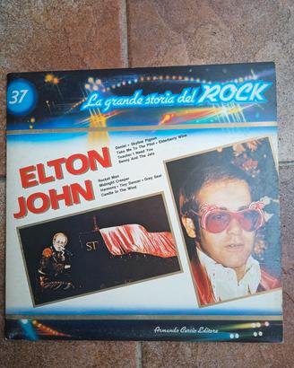 Vinili  la grande storia del rock