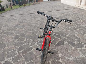 Bicicletta-BMX Freestyle