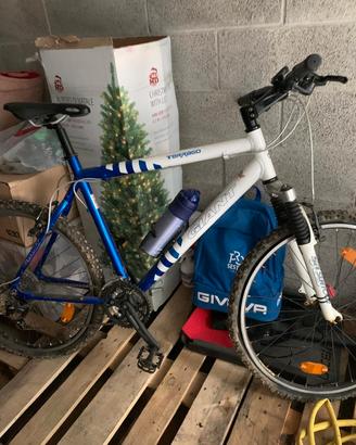 mountain bike giant Terrago 