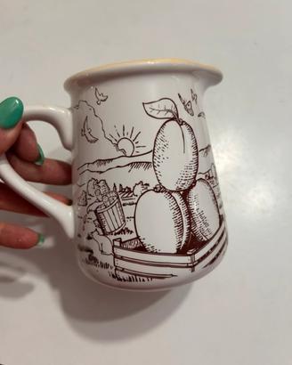 Set 4 brocche Mulino Bianco