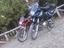 Immagine 1