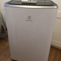 Climatizzatore pinguino