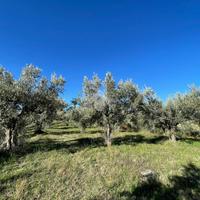 TER. RESIDENZIALE A SAN PIETRO IN GUARANO