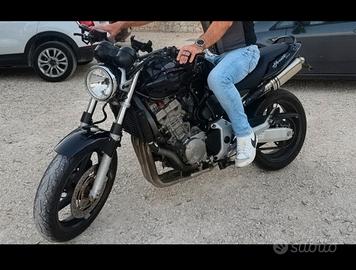 Hornet 900