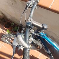 Bici Mountain bike