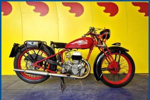 Sertum 250 Finanziabile - ROSSO - 0