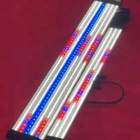 plafoniere per acquario d'acqua dolce