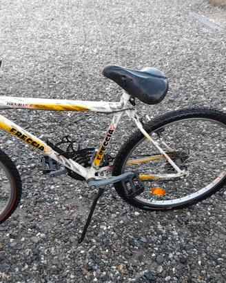 coppia biciclette 
