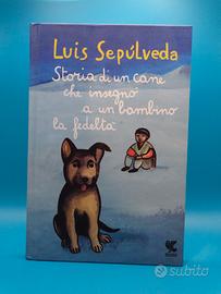 Storia di un cane che insegnò a un bambino la fede