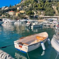 Barca a vela Vergaplast delfino 380