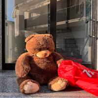 Orso trudi peluche Gedeone gigante 100cm