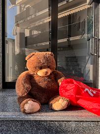 Orso trudi peluche Gedeone gigante 100cm