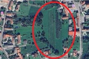 Terreno viticolo con olivi