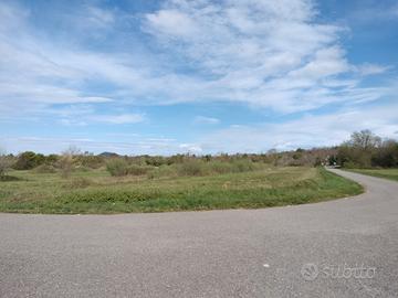 Lotti di terreno agricolo di 10.000mq