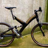 Cannondale Raven 4000 carbon