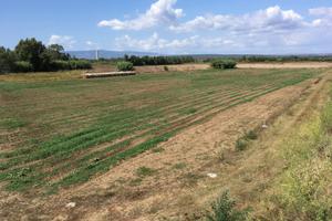 Terreno agricolo Bennaxi a Simaxis