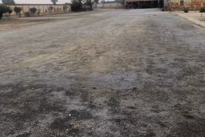terreno a Carmagnola