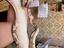 Immagine 4