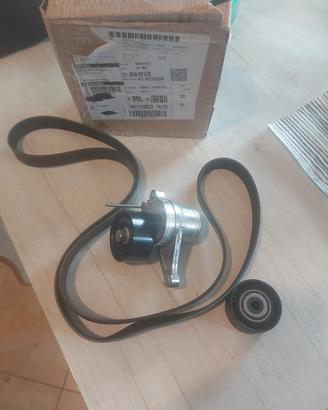 kit cinghia poliv 95519120 