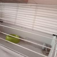 Gabbia per coniglio nano