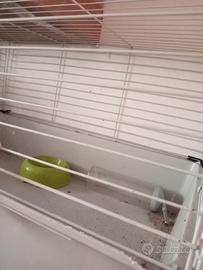 Gabbia per coniglio nano