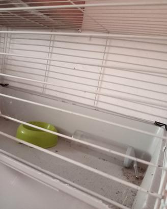 Gabbia per coniglio nano