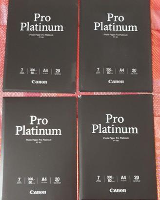 Carta fotografica Canon Pro Platinum PT-101 210x29