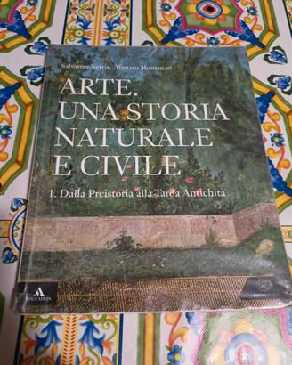 Arte. Una storia naturale e civile 
