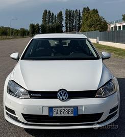 Volkswagen Golf Business 1.4 TGI DSG 5p. Highline 
