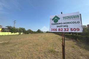 TERRENO A MADDALONI