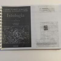 Istologia di V. Monesi