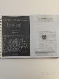Istologia di V. Monesi
