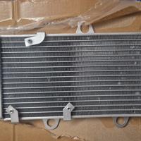 Radiatore moto XT 660