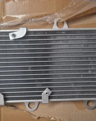 Radiatore moto XT 660