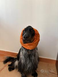 Copriorecchie cocker - Accessori per animali In vendita a Foggia