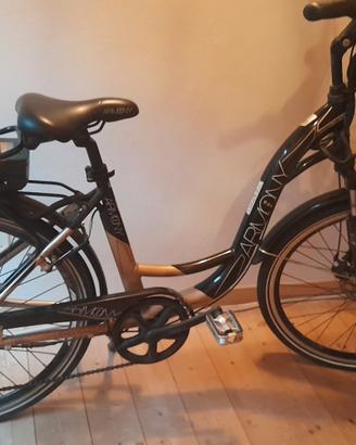 Bicicletta elettrica
