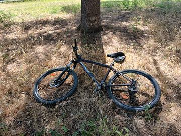 mountain bike rockrider 8.1