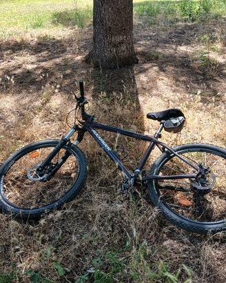 mountain bike rockrider 8.1