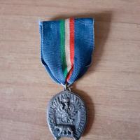 Militaria, Medaglia Cavall.