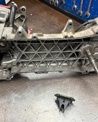 Carter e rapporti malossi